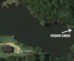 Angler using Google Earth to find fishing spots