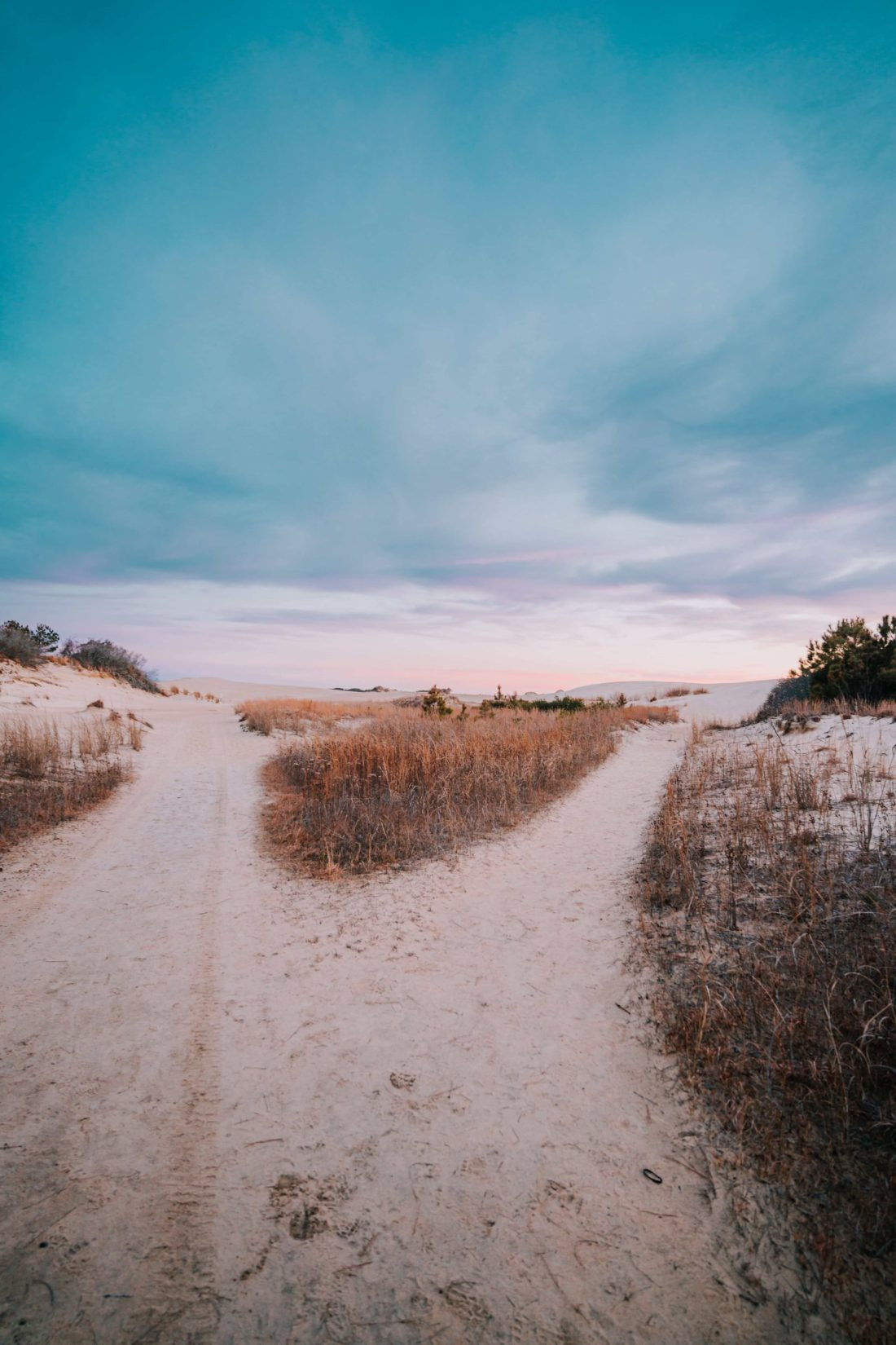 Dunes at Jockeys Ridge State Park