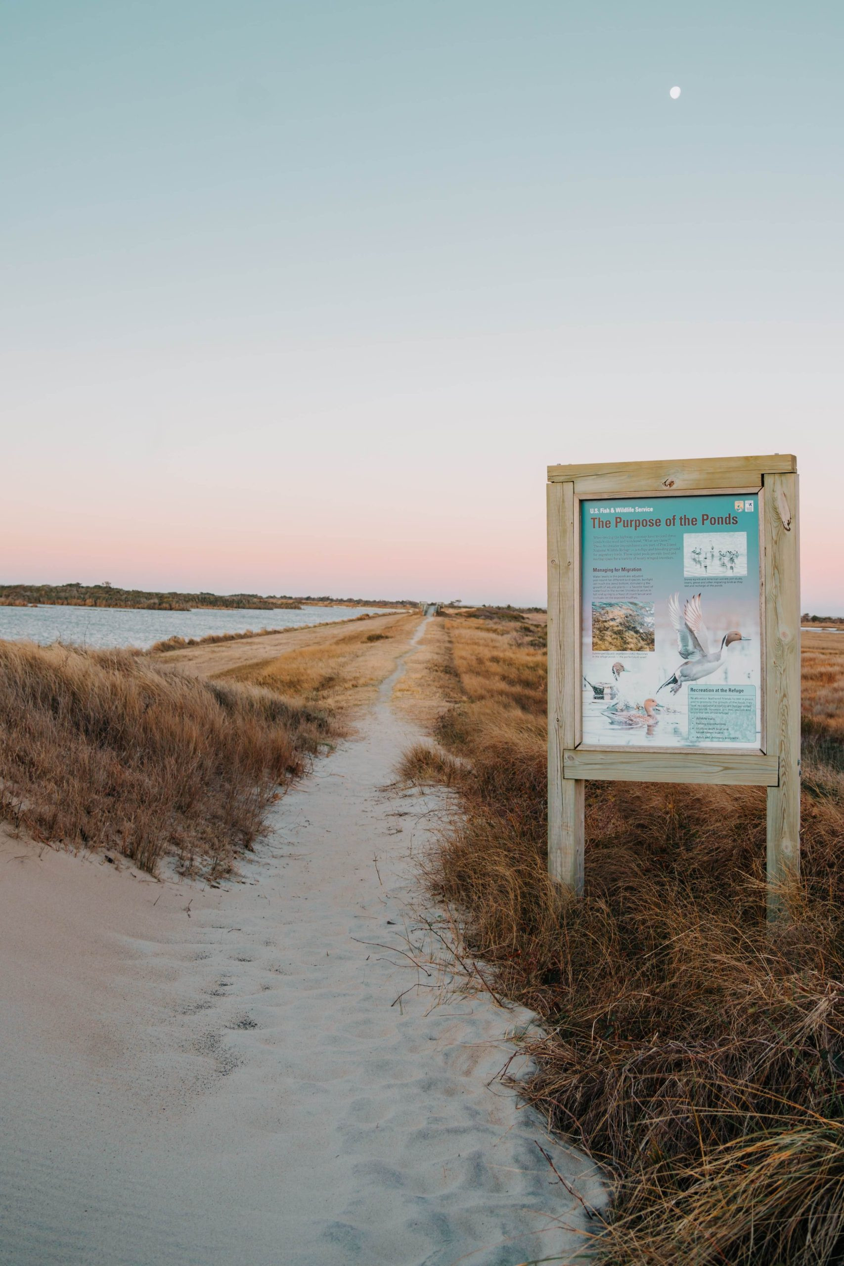 Pea Island National Wildlife Refuge walking trail